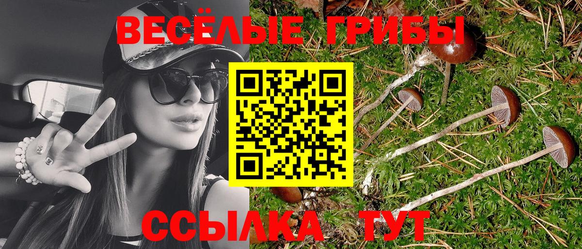 Псилоцибиновые грибы Magic Shrooms Каспийск