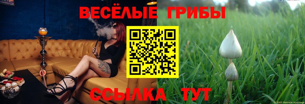 Каспийск  Галлюциногенные грибы MAGIC MUSHROOMS  Псилоцибиновые грибы Psilocybine cubensis  Вход с VPN 
